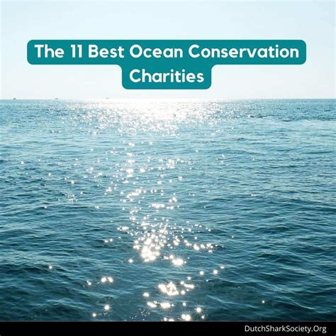 best ocean conservation charities|9 Best Charities That Help Clean Up Our Oceans (Complete .